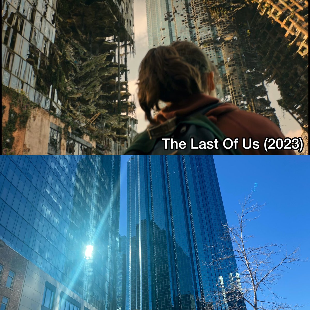 NiftyCrispy tweet media