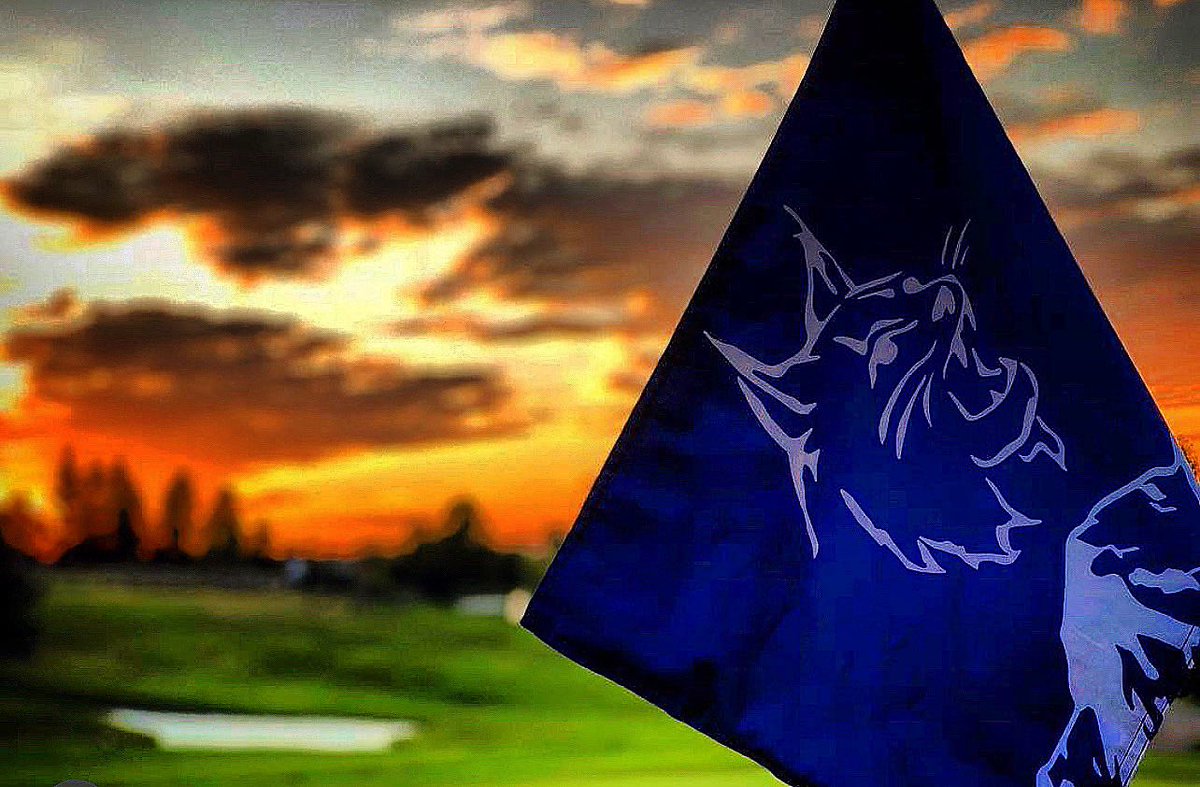 Matt Kirlin tweet media