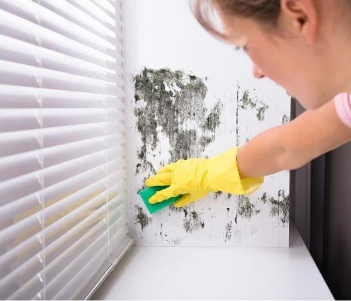 Servpro_of_Phx's tweet photo. Struggling with Mold in Your Home? Call in the Experts! #SERVPRO #SERVPROTeamPhoenix #remediationservices #waterdamagehelp #molddamage https://t.co/Bq3C1j3P17 https://t.co/GZoXIrm0J8