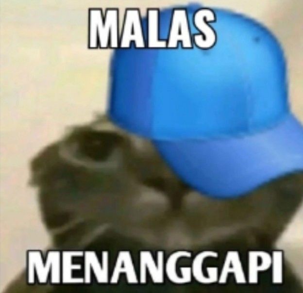 hiwendys_'s tweet image. fix. gue kemusuhan sama markleonct.