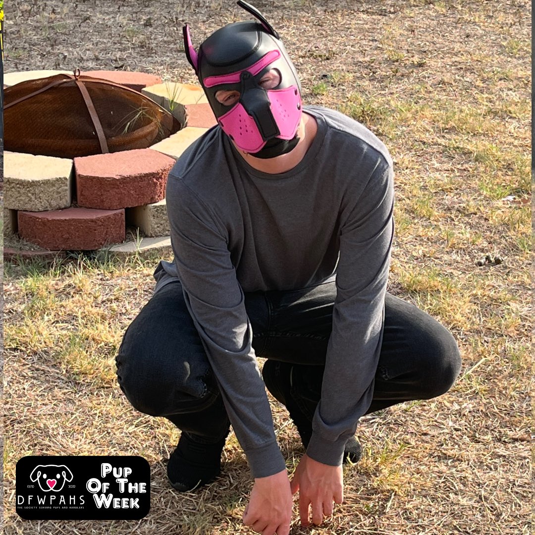 DfwPahs's tweet photo. Favorite thing about pup community: That I can be myself and have the support of many other pups and that everyone is so sweet and welcoming.

Show @PupBlossom_ some love and give him boops!

Want to be pup of the week? Sign up here it’s free https://t.co/0wy9dcUS45 https://t.co/2BZ3tXx3Xs