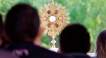 OurNorthlandDiocese tweet media