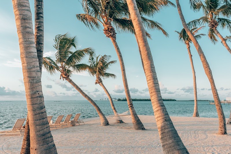 PartyInKeyWest's tweet image. Trying to go back into the weekend like 
#keywest #palmtrees #takeusback 📷 @seaglasscoveflorida

More: PartyinKeyWest.com/wp/
Follow us: @PartyInKeyWest
Hashtag us: #PartyInKeyWest