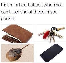 LimulusDaily's tweet photo. Sorry that I've been super inactive. Have a meme as compensation https://t.co/43n0v27Cu5