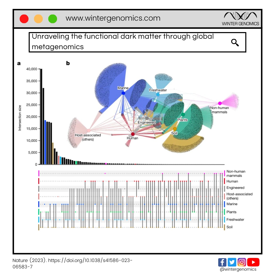 wintergenomics's tweet photo. A partir de metagenomas, en este estudio se identificaron 1.170 millones de secuencias de proteínas de más de 35 aminoácidos sin similitud con ninguna secuencia de 102.491 genomas de referencia o la base de datos Pfam3. 

Más: https://t.co/25KgfCVFLI https://t.co/fkOabjSFKw