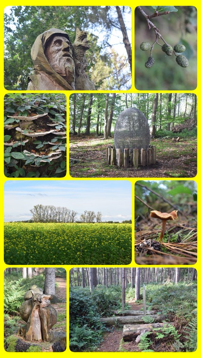 CoolsGreetje's tweet photo. #Aalter #Ursel #Keigat #Natuurpunt #Houtsculpturen #Rust #Bijkletsen #Dreven #natuur #Stilte #GoeGezelschap https://t.co/AGqukIo3kr