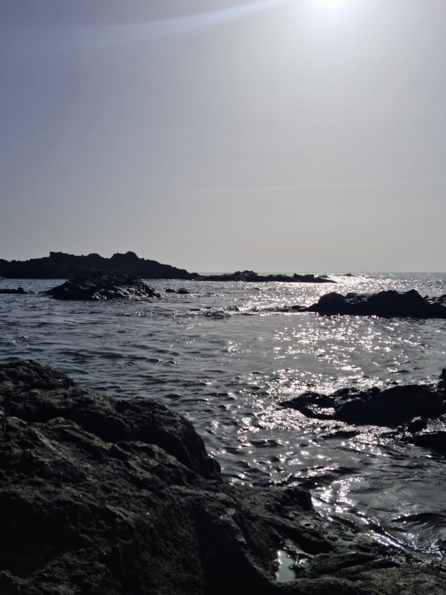 🦀 Conoce la flora y la fauna marina que Santiago del Teide,

📍 ¿Dónde? En la playa de Las Bajas.