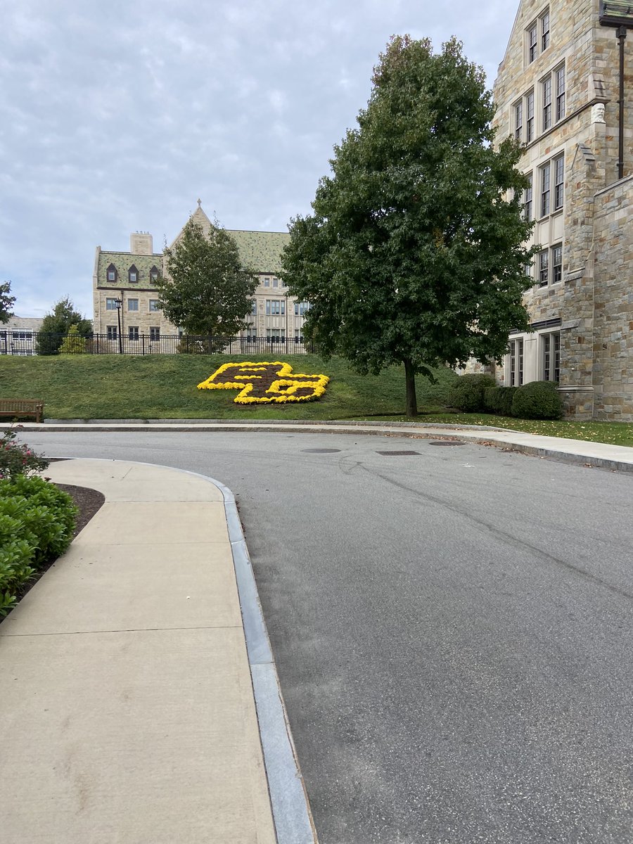 Callie Howard tweet media