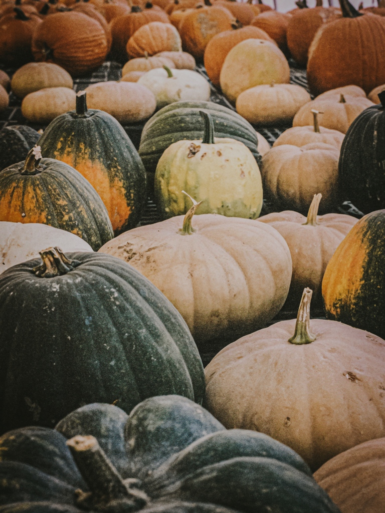 This lonely place was notorious for the most whimsical flights of fancy

#minolta  #lookslikefilm #filmisnotdead #35mm #liveoutdoors #pumpkinszn #justgoshoot #thecreatorclass #filmisgod #thirtyfivefuckingmillimeter #35mmphotography #analoguepeople #filmwave #filmphotographer