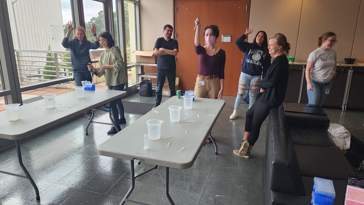 Peer Mentor Network tweet media