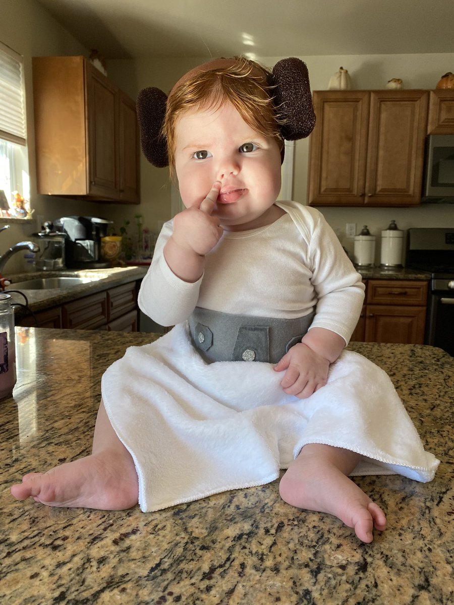 Bidoofs's tweet photo. I make quickie cheap costumes once a week for my babies’ first October. I think Skylar totally embodied the part this week!! ✨🖕🏼✨@MarkHamill https://t.co/fSqI5YVEWw