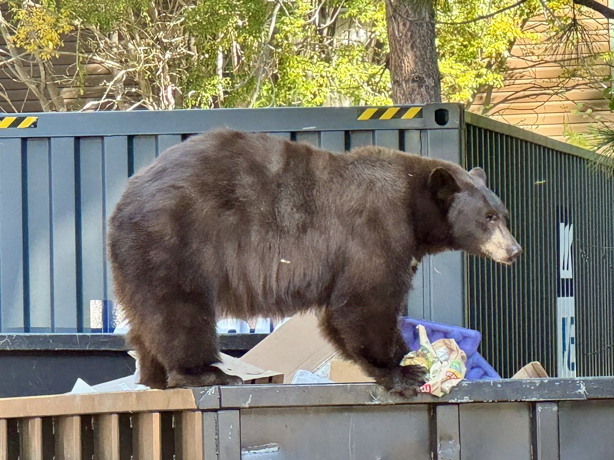 Ray O 'Farrell tweet media