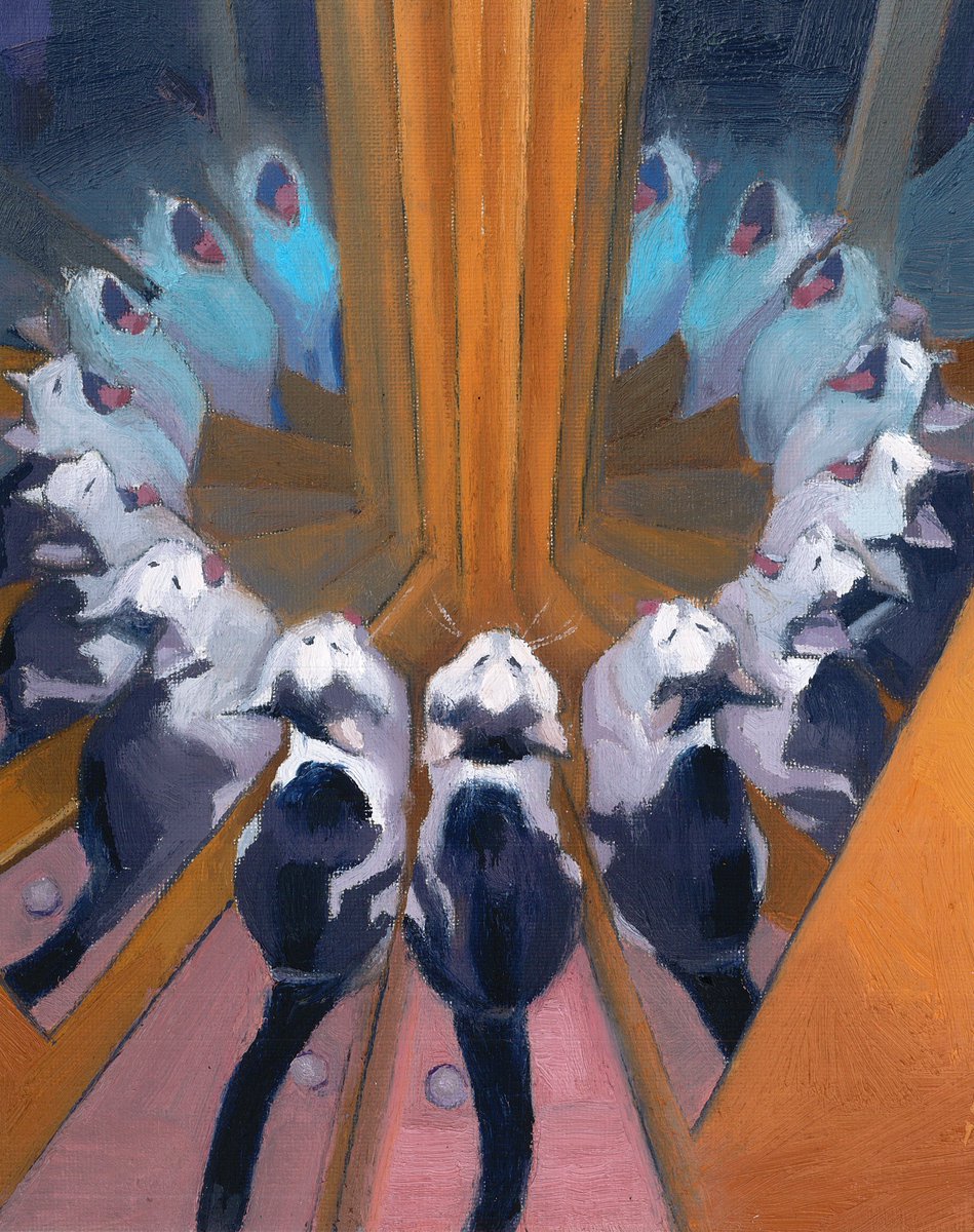 Daniel Arthur tweet media