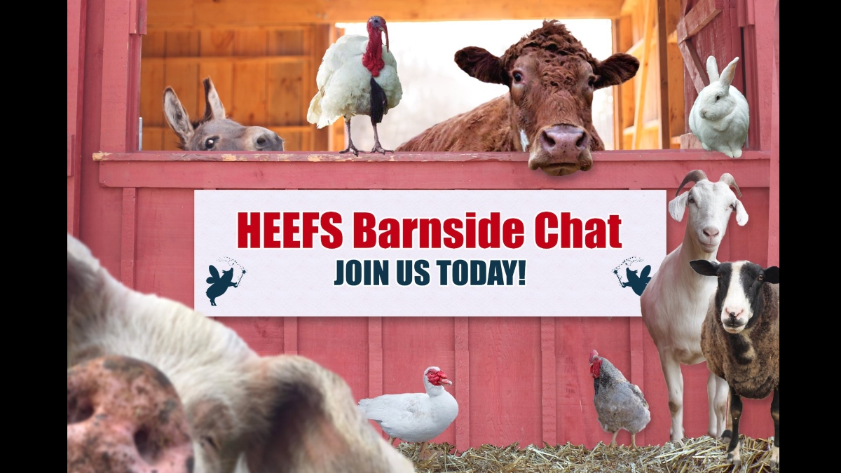 What a busy weekend. We had a work day, a tour day & the live auction. Huge thanks to everyone who visited or participated in the auction. Next up is the Barnside Chat at 1pm ET today.  Join Andrea & Kevin on Facebook facebook.com/happilyeverest… for the latest news & more!