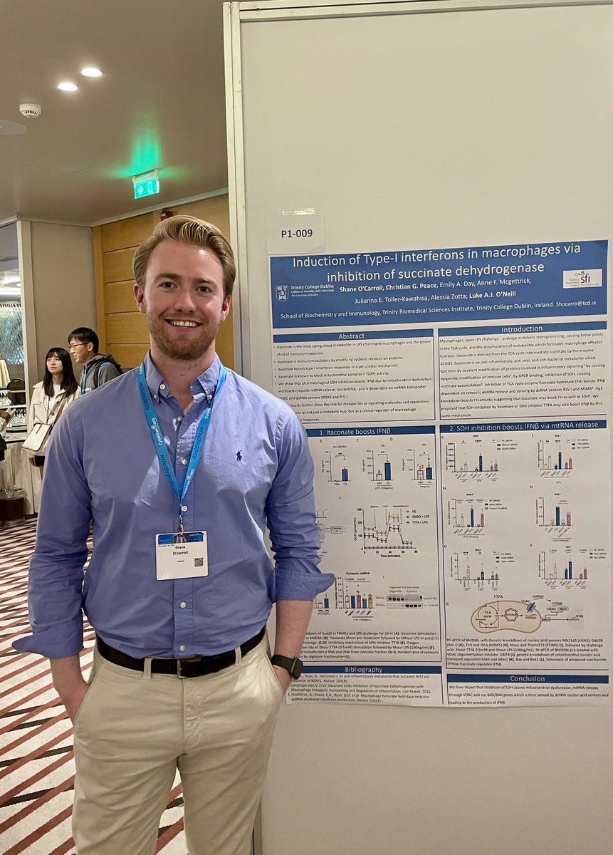 Had a great time at the @CytokineSociety  presenting my PhD work from the Luke O’Neill lab on itaconate and interferons 🇬🇷#immunometabolism #cytokines2023