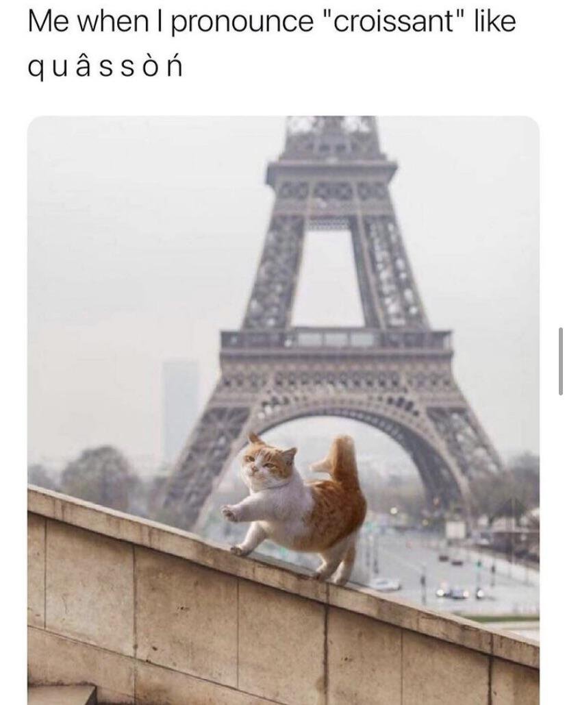 WholesomeMemes (@wholesomememe) on Twitter photo 