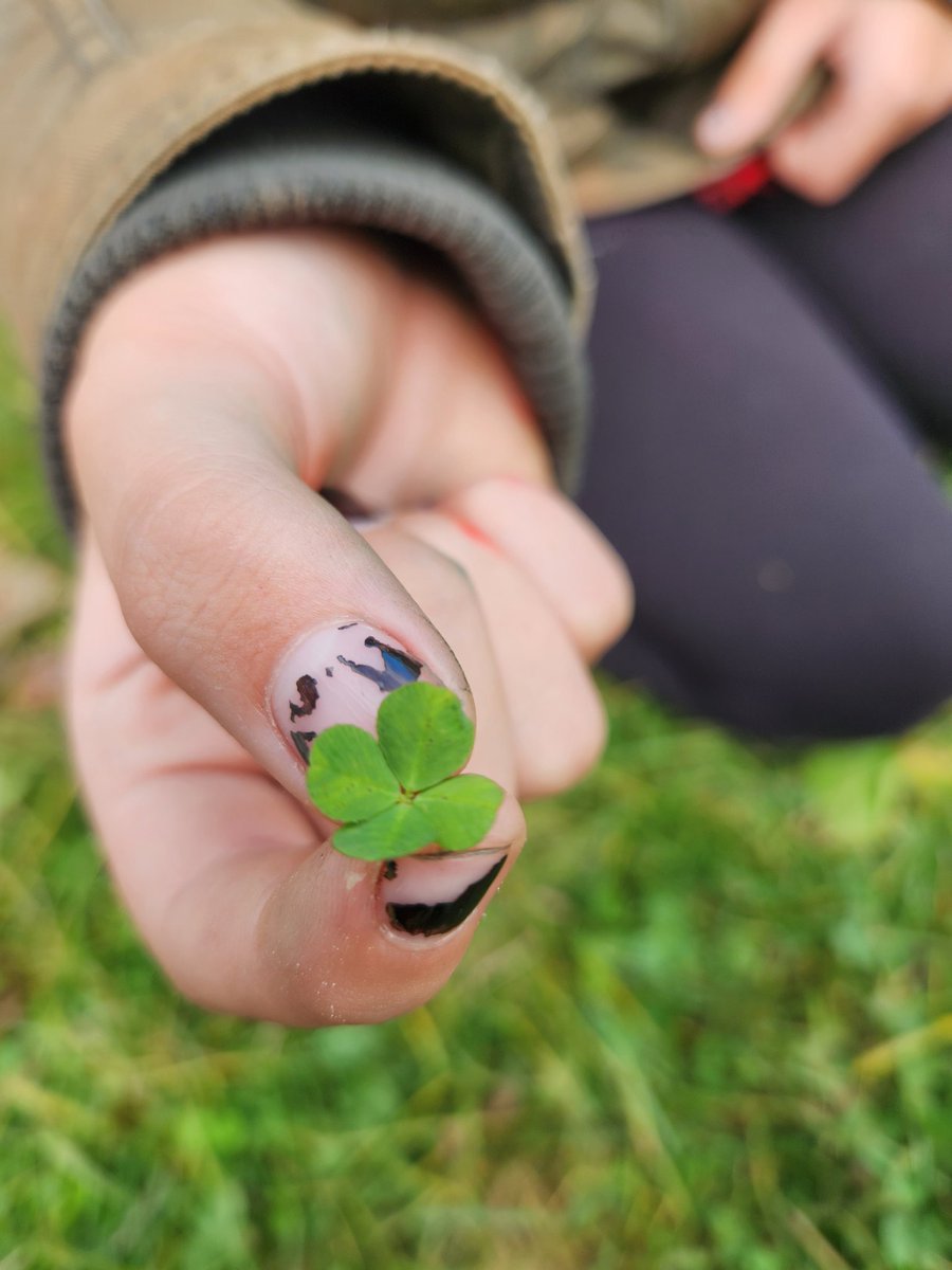 That moment that you ask a student to help you find a 4 leaf clover ☘️ at recess .... K looks down and finds one immediately  🤦🏽‍♀️ <a href="/John23OCSB/">St. John XXIII School</a> #BeCommunity #nature #4leafclover #goodluck #ocsbNature #recess