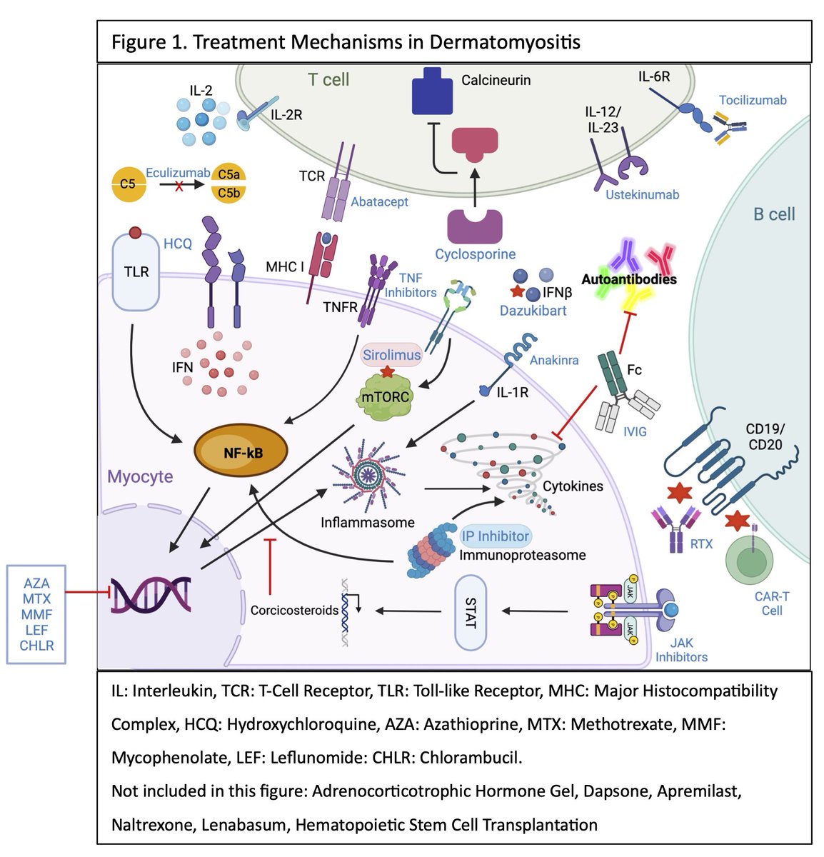 Iago Pinal-Fernandez tweet media