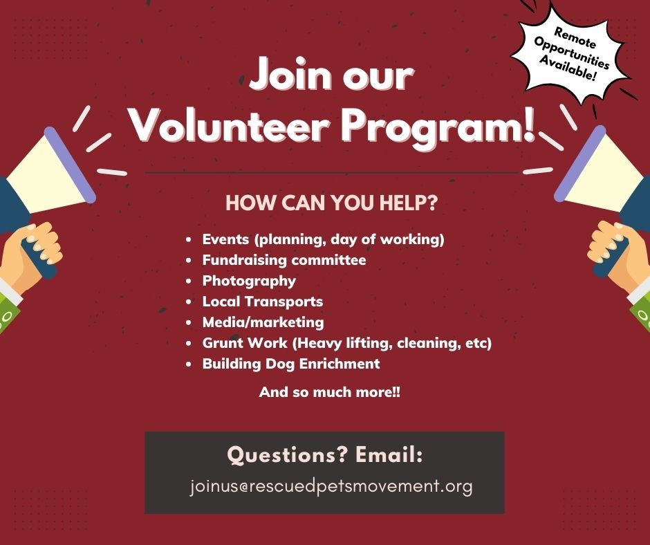 RPM is refreshing our volunteer program! Sign up today and take the first step towards making a difference! Visit bttr.im/o054l to sign up! Have questions or need more information? Feel free to reach out to our Volunteer Coordinator at joinus@rescuedpetsmovement.org.