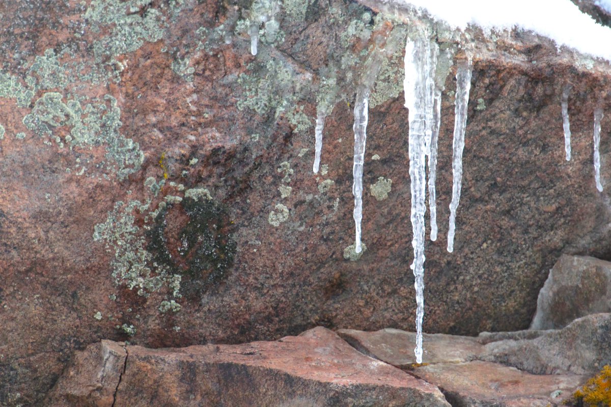 Through Nov 30, Old Fall River Road in #RMNP is open for bicycles, e-bikes, leashed dogs (pick up after them) and hiking except during road maintenance operations and emergency closures as posted. Cyclists, hikers and pet owners may utilize the road at their own risk.