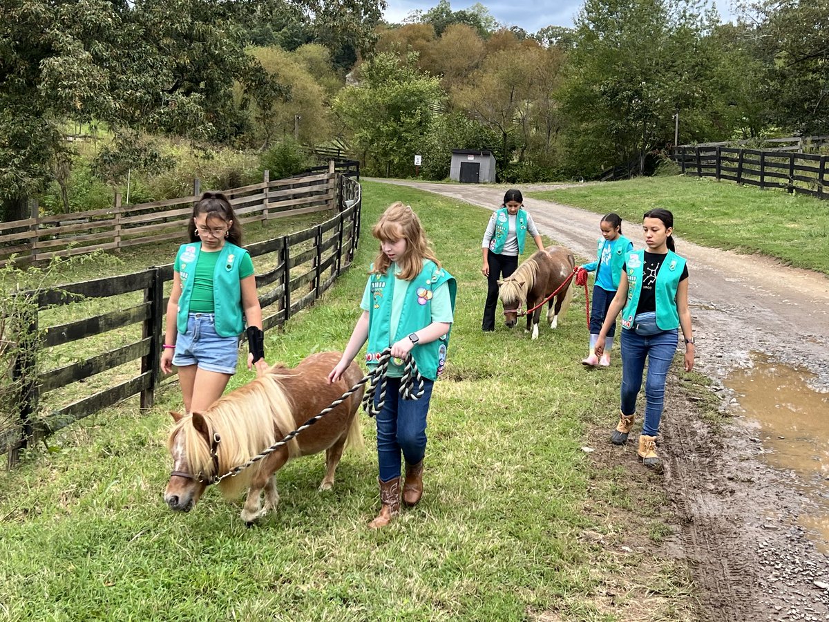 girlscouts's tweet photo. Girl Scout Troop 18083 galloped towards their #gsBronzeAward by partnering with Central Virginia Horse Rescue. 🐎💚 They created an inspiring video to share the rescue horses' stories. Bravo, Girl Scouts! 🌟@GSCNC https://t.co/RLKPWkDViZ