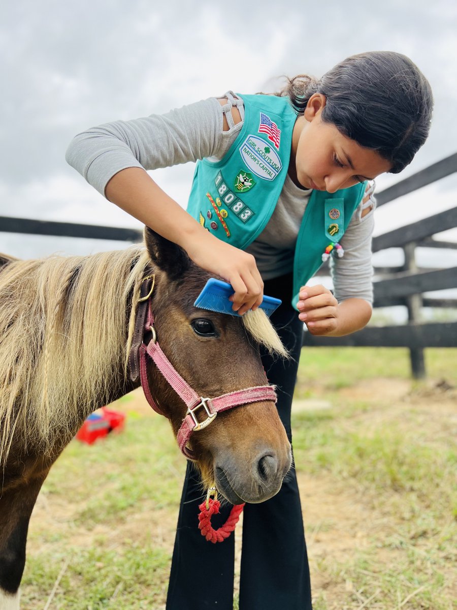 girlscouts's tweet photo. Girl Scout Troop 18083 galloped towards their #gsBronzeAward by partnering with Central Virginia Horse Rescue. 🐎💚 They created an inspiring video to share the rescue horses' stories. Bravo, Girl Scouts! 🌟@GSCNC https://t.co/RLKPWkDViZ