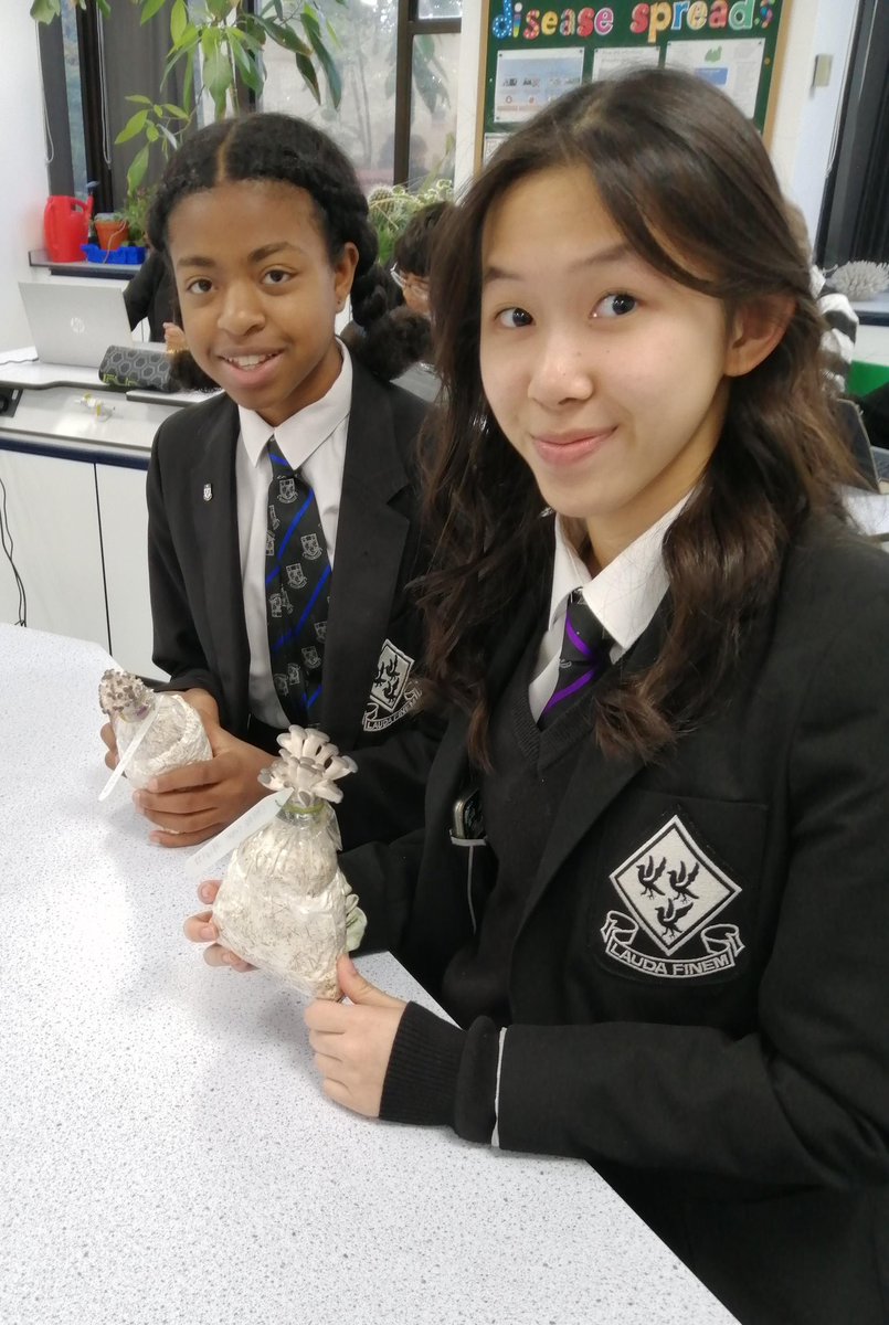 Biology_NHS's tweet photo. Culture Club members were delighted to see the first results of their initial project. Their oyster mushrooms will be delicious, and this week will see a new crop emerging each day. Well done year 10. https://t.co/CajMwTm5DD