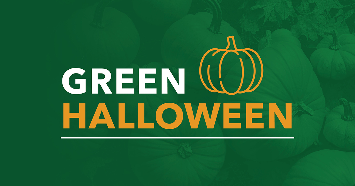 ecoouest's tweet photo. This year, make Halloween eco-friendly. Let's reduce waste and embrace sustainable choices to celebrate and make this Halloween a treat for the planet.

#GreenHalloween https://t.co/VGGTYqVNBL