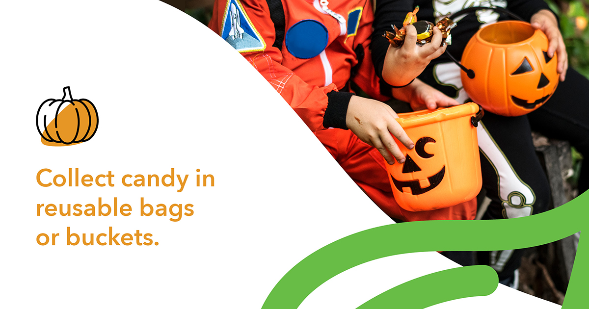 This year, make Halloween eco-friendly. Let's reduce waste and embrace sustainable choices to celebrate and make this Halloween a treat for the planet.

#GreenHalloween