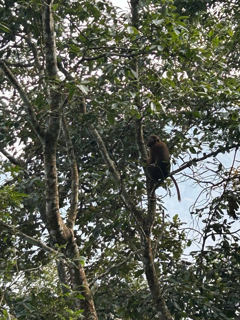 DC Charity Committee tweet media