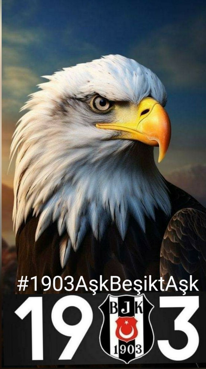 AŞKIN SAATİ 1903 🦅🦅🦅 #1903AşkBeşiktAşk 🦅🇹🇷🦅