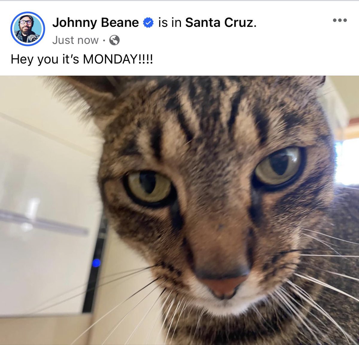 johnnybeane's tweet photo. Ned says…

#SantaCruz #NedSays #JohnnybeaneTV https://t.co/boMevysBEO