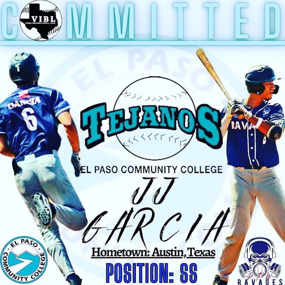 VIBLBaseball tweet picture