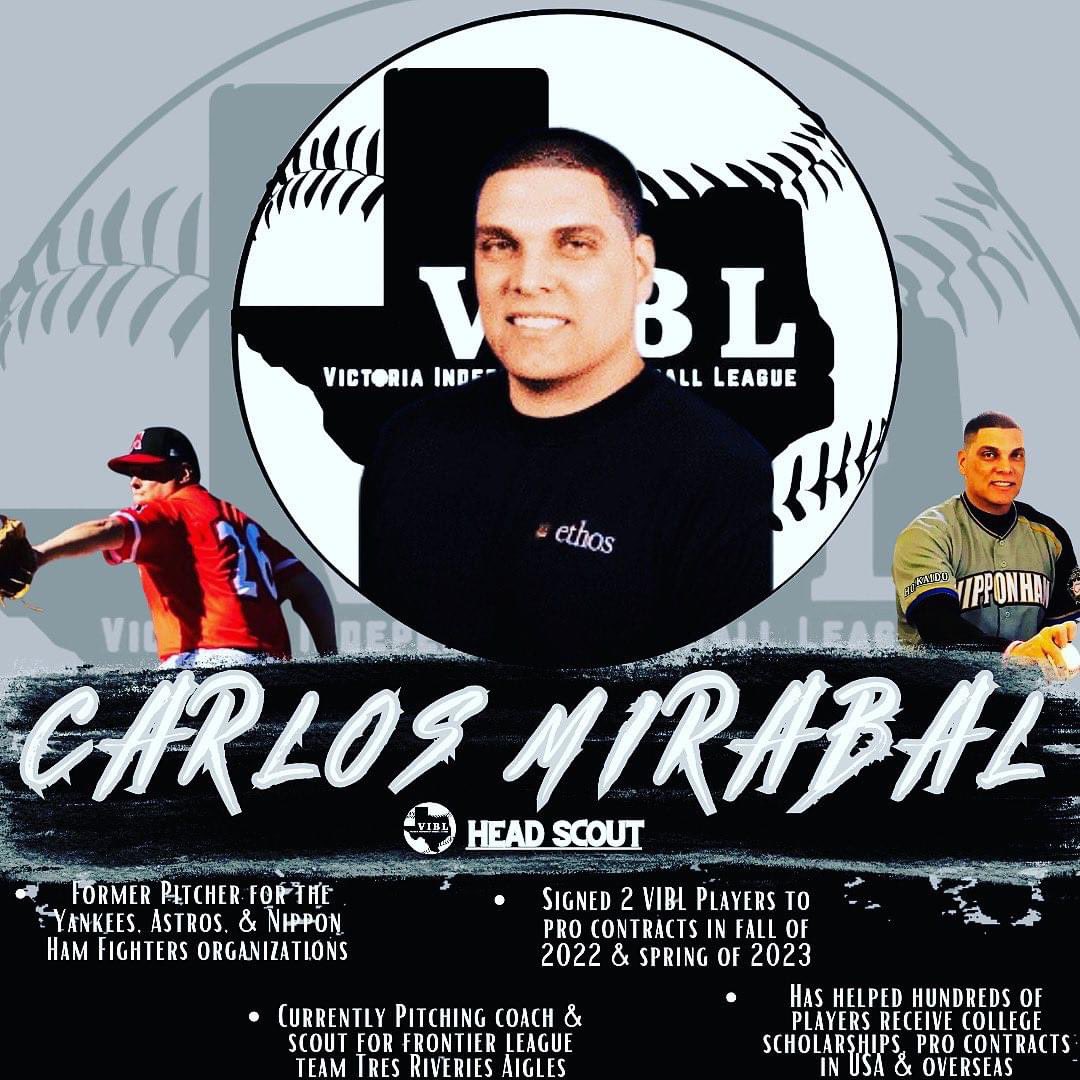 VIBLBaseball tweet picture