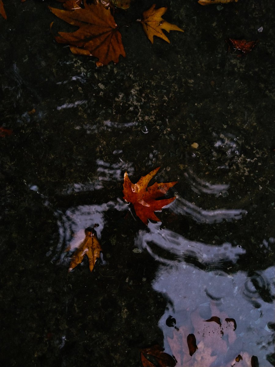 So tell how much of it all should I let go.