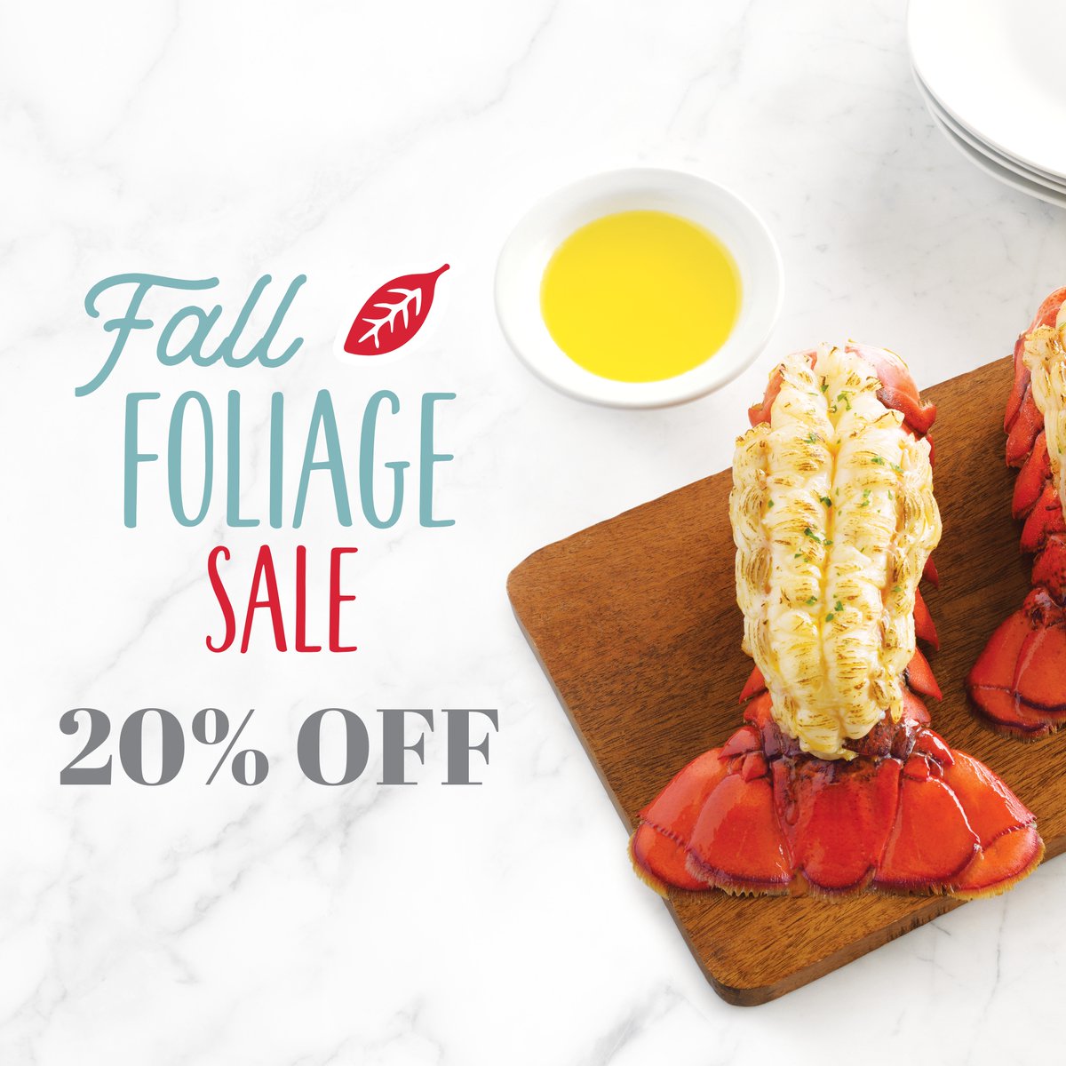 Get that East Coast feeling delivered to your door this season with our Fall Foliage Sale!

From October 12-18, receive 20% off all Maine Lobsters using code: FALL20. 🍁🦞

bit.ly/3xU1nXR

#LobsterGram #SeafoodLovers #FallFoliageSale #MaineLobster #LobsterSale