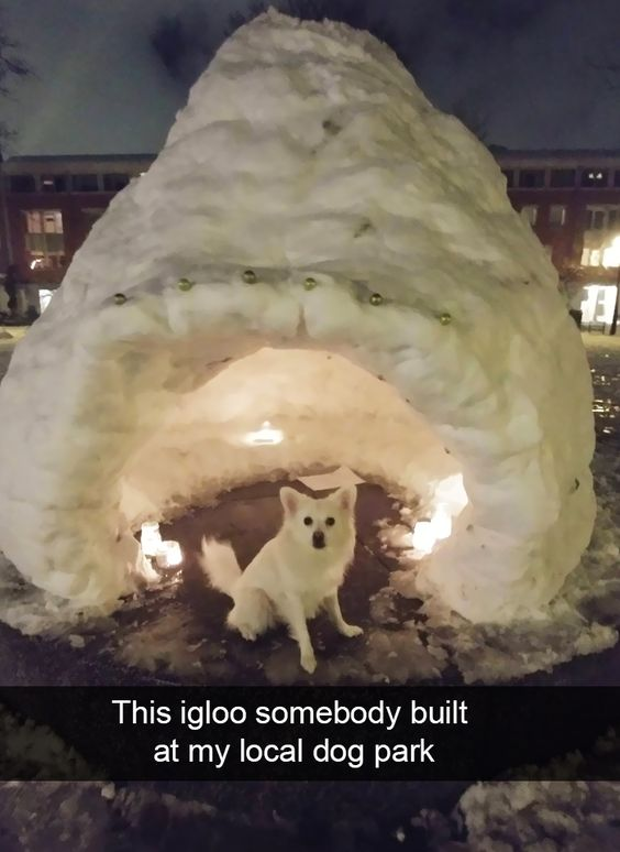 WholesomeMemes tweet media