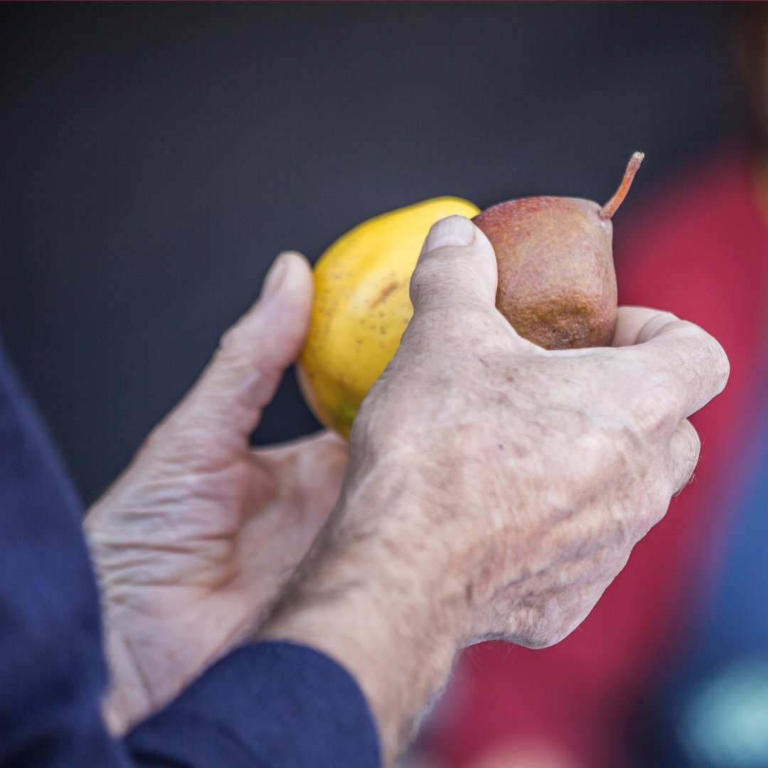 FoodMuseumUK's tweet photo. Do you have apples in your garden? 🍏

Bring them along this Saturday 21 for our #NationalAppleDay, where Suffolk Traditional Orchard Group's trained experts will be doing #AppleIdentification

Will your apples be great for cooking or making cider?🧃

https://t.co/yVkCTvKQeA https://t.co/c5TjO9fnzV