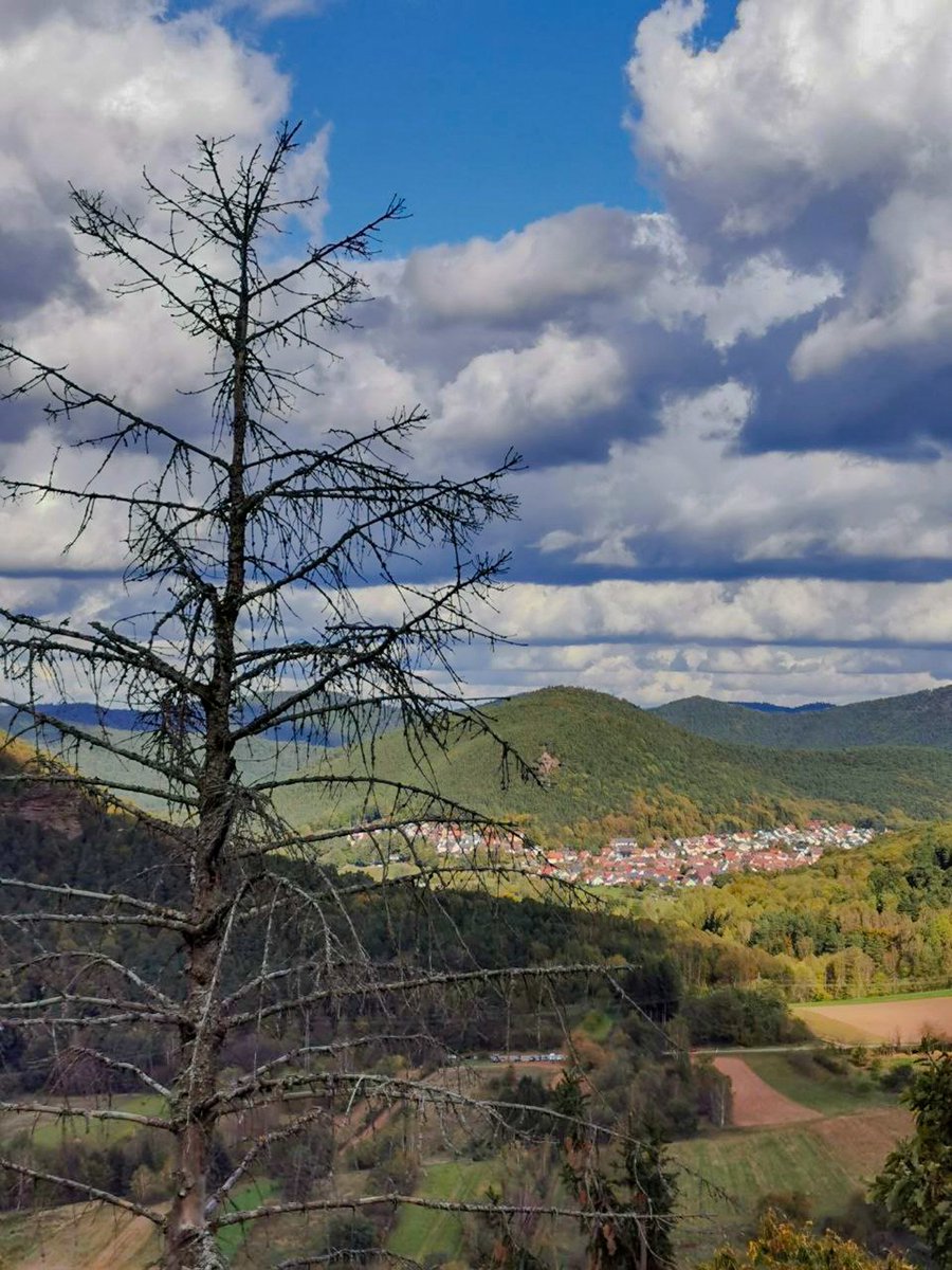 Pfalzfoto's tweet photo. Unterwegs auf dem Dimbacher Buntsandstein Höhenweg. ➡️ https://t.co/spRVhBJJNt
#Dimbach #VGHauenstein #PS #Südwestpfalz #Pfalz https://t.co/sTxRCR4oun