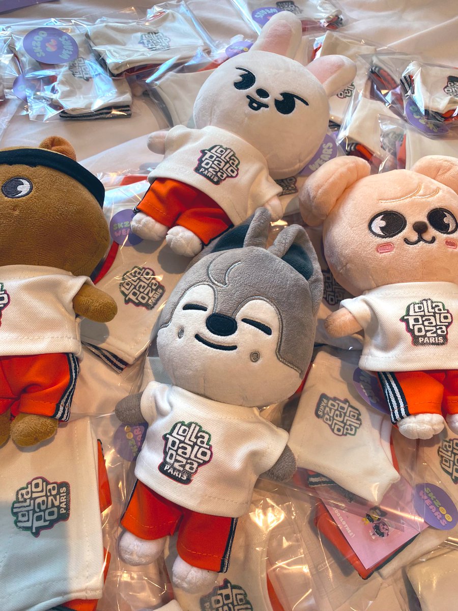 i’m still confused abt how me and my besties saw skz at lolla 3 months ago, it feels like a dream 😭