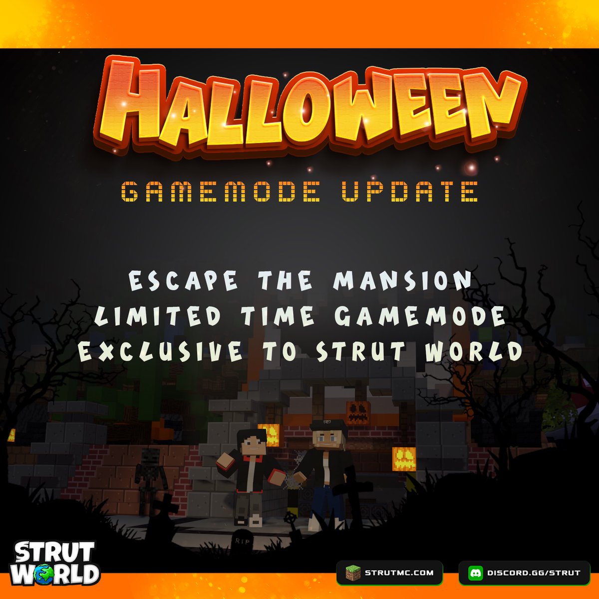 STRUT WORLD tweet media