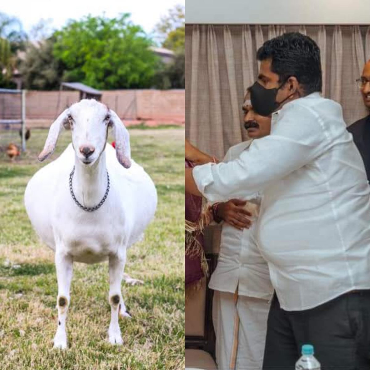 PrabhuAyyanar6's tweet photo. நீங்க நினைக்கிற மாதிரி லாம் இல்ல,,,, கொஞ்சம் முரட்டு தீனி அவ்வளவுதான் வேற ஒன்னும் இல்லயாம்...😂😂😂
#Match_Found https://t.co/GiTiJyNKn5