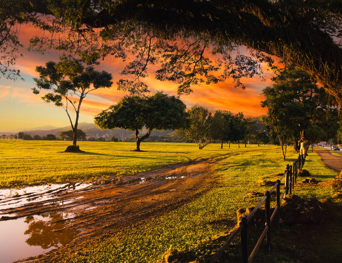 uncle joshes (@jbsuperman) on Twitter photo Queen's Park Savannah, Trinidad & Tobago 🇹🇹❤️
From the 2011 <a href="/ScottKelby/">Scott Kelby</a> International Photo Walk Queen's Park Savannah, Trinidad & Tobago 🇹🇹❤️
From the 2011 <a href="/ScottKelby/">Scott Kelby</a> International Photo Walk