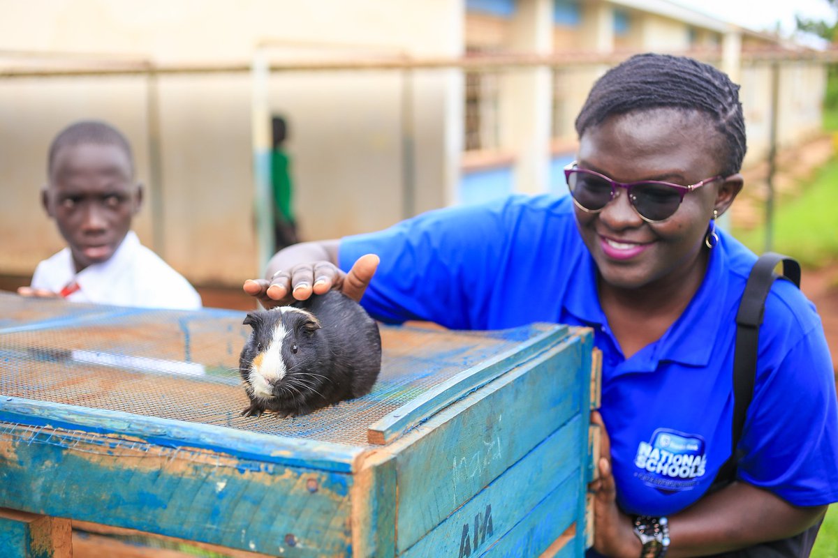 KABASCO
Young organic fertilizer and breeder project.
Started off with 2 rabbits, now they have 46 rabbits. Their waste is used to make fertilizers that are used in school farms and also sold for profit.
#Itcanbe
#StanbicBank
#poweringinnovation