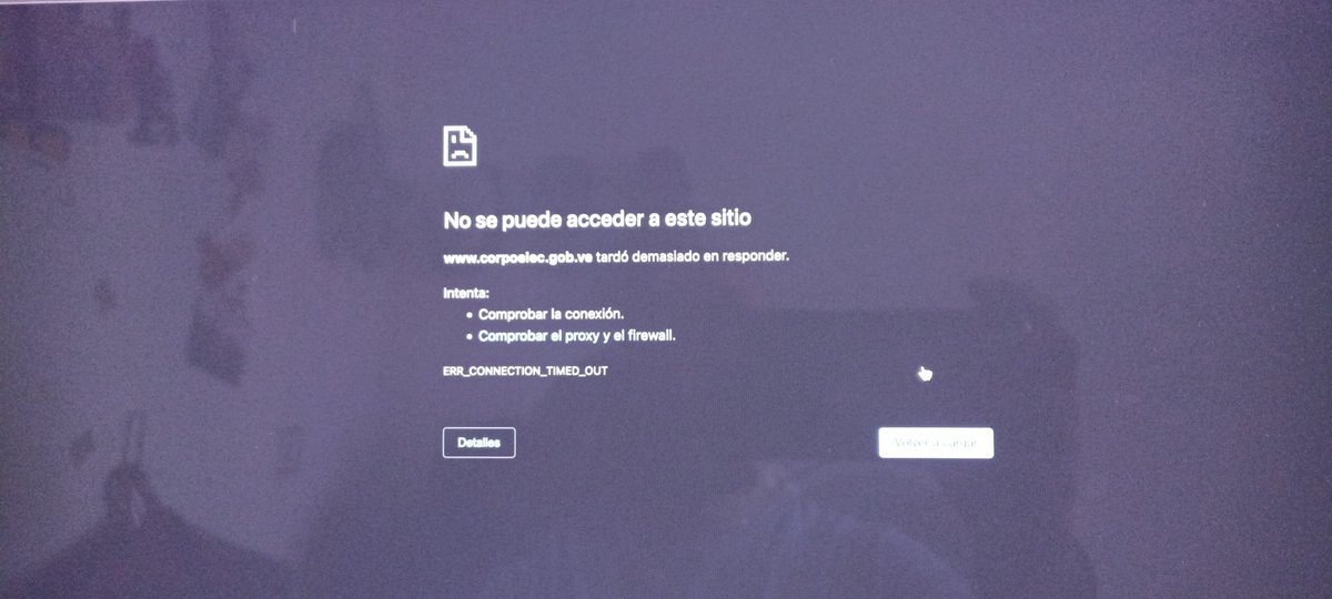 Alejandro tweet media