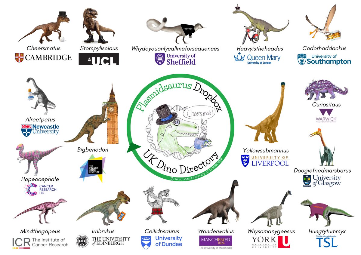 Plasmidsaurus is in the UK!! UK dinos can expect SUPER fast results, more dropboxes, and more pickups! If you don't have a dropbox yet, let us know and we'll get you set up.
Big love to Nora Rier, University of Cambridge, who sent our London lab their first ever dino art! 🎩♥️🦕