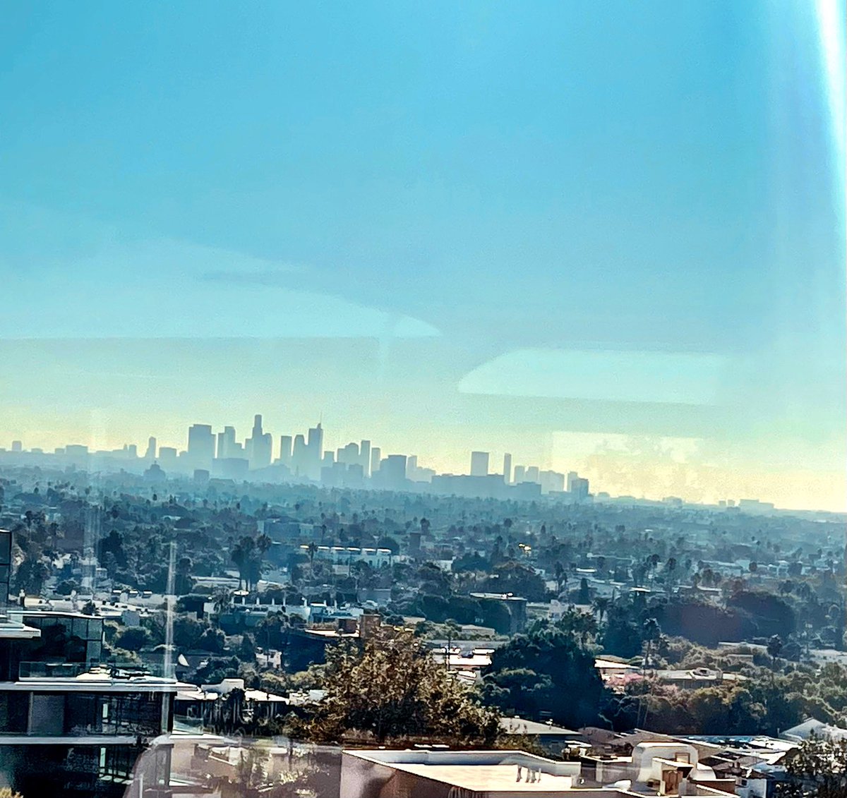 lisabelkin tweet media