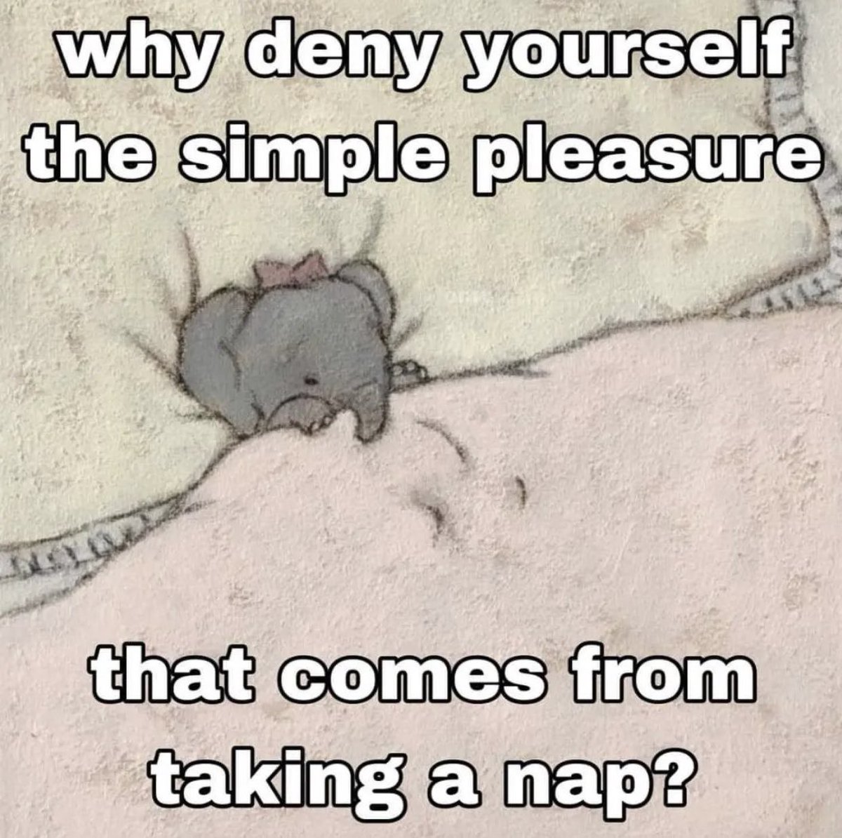 Respectful Memes (@respectfulmemes) on Twitter photo 