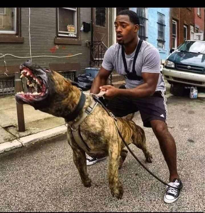 AbuEdoh's tweet photo. Come in, it doesn't bite.... What will be it response ? 😁😁 https://t.co/wSFkbgyj7d