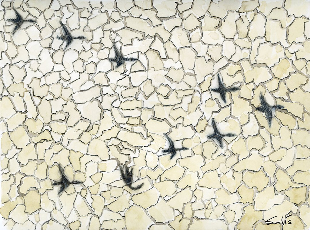 visoor's tweet photo. El pasado sábado fue el Día Mundial de las Aves Migratorias #DiaMundialdelasAvesMigratorias #LikeABird #WorldMigratoryBirdDay @Excelsior @EFEverde https://t.co/9Cu92wKUlf